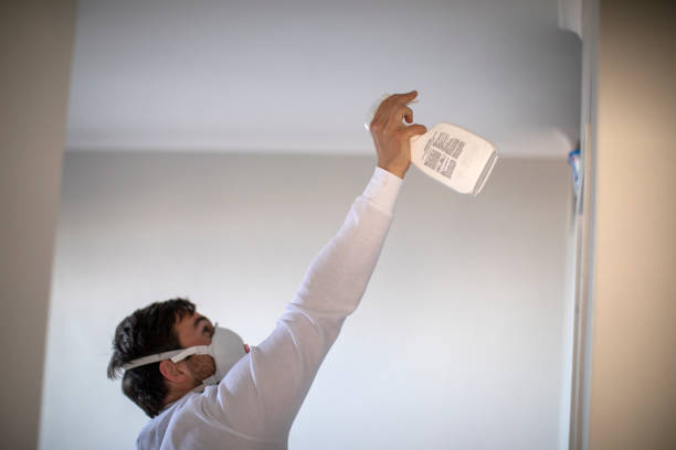 Best Health and Safety Mold Remediation in Olney, MD